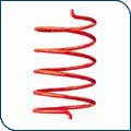 Secondary Clutch Springs